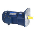 Vertical AC Motors