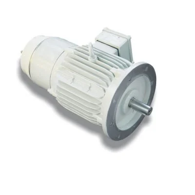 1-300-rpm-200-v-dc-shunt-motor-150-w-7889.webp