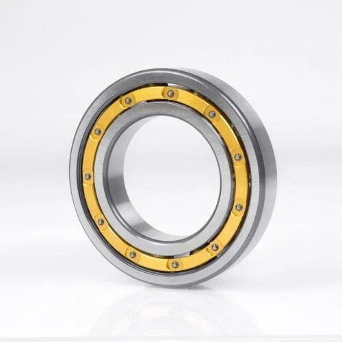 Chrome Steel Annular Bearings 7210