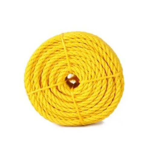 1-danline-yellow-rope-8915.webp