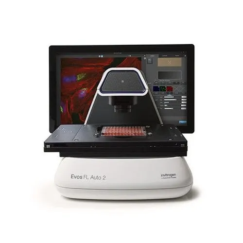 Embryo Imaging and Screening Micropscope, Model Name/Number: Evos