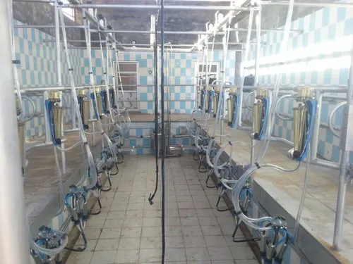 1-fixed-semi-automatic-used-milking-parlor-4980.webp