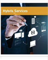 1-hybris-services-7732.webp