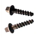 1-iron-rail-screws-size-approx-3-cm-7891.webp