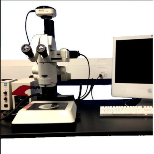 1-labline-fluorescence-stereo-microscope-5210.webp