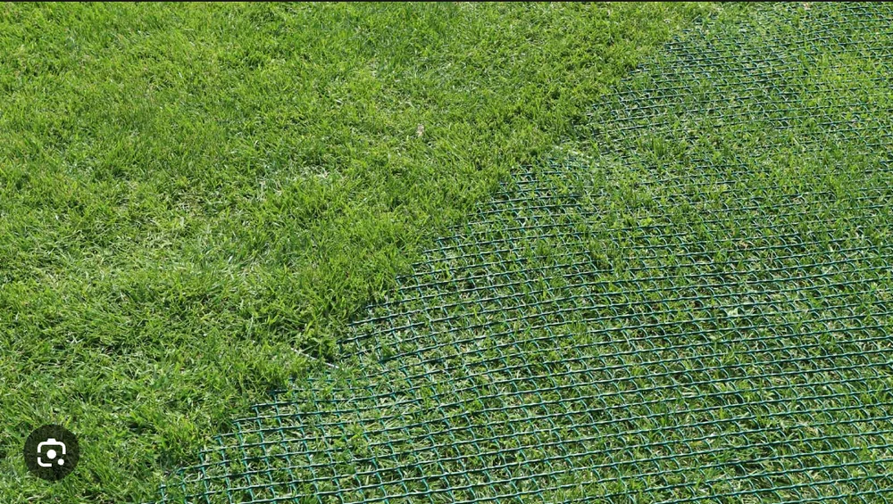 1-mase-plastic-econet-turf-guard-mesh-for-garden-polished-9717.webp