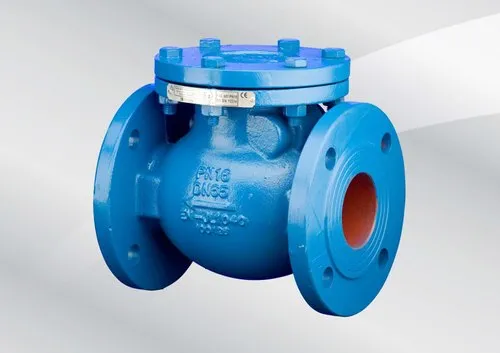 1-medium-pressure-cast-iron-check-valve-size-25mm-flange-end-10029.webp