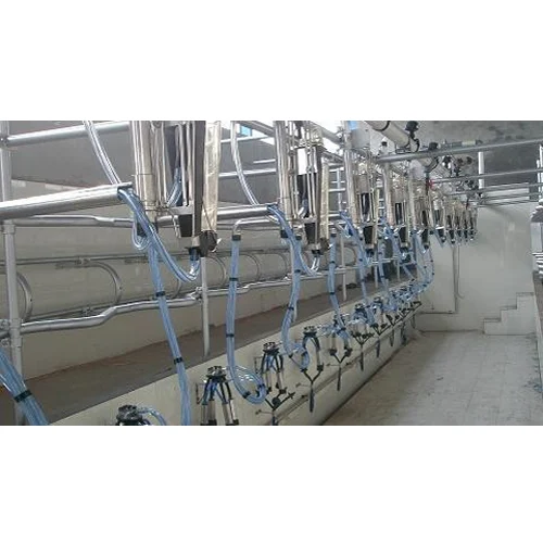 Milking Parlour