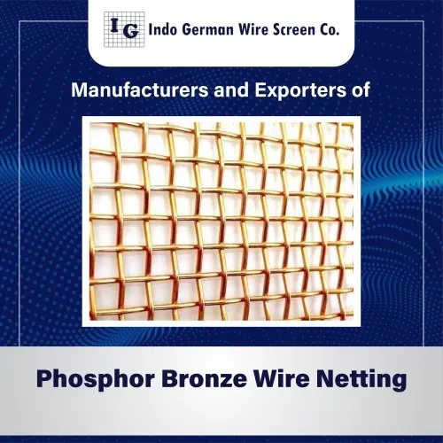 1-phosphor-bronze-wire-netting-9566.webp